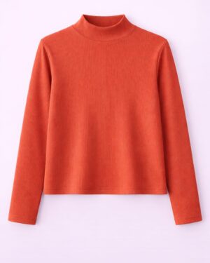 Mock neck top full sleeves