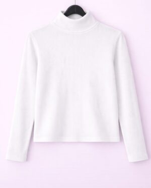 High neck full sleeves